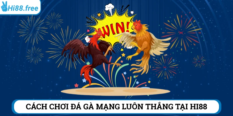 cách chơi đá gà mạng luôn thắng hi88