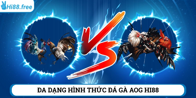 Đa dạng loại hình đá gà trực tuyến tại AOG