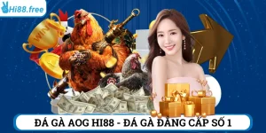 đá gà aog hi88