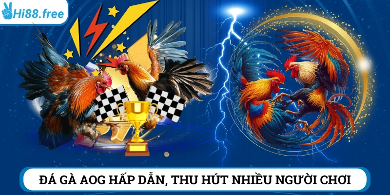Sảnh đá gà AOG Hi88 thu hút hàng triệu người chơi