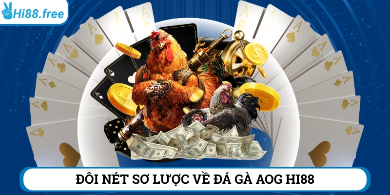 Vài nét về sảnh đá gà AOG