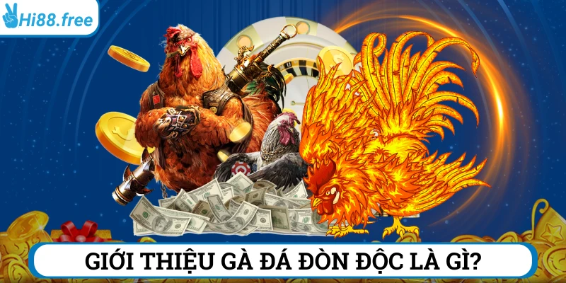 Gà đá đòn độc là gì - Những thế đá “chết gà” trên sàn đấu