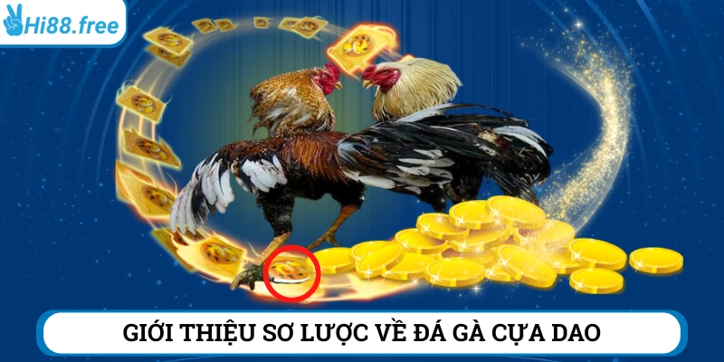 Giới thiệu sơ lược về soi kèo đá gà cựa dao Hi88