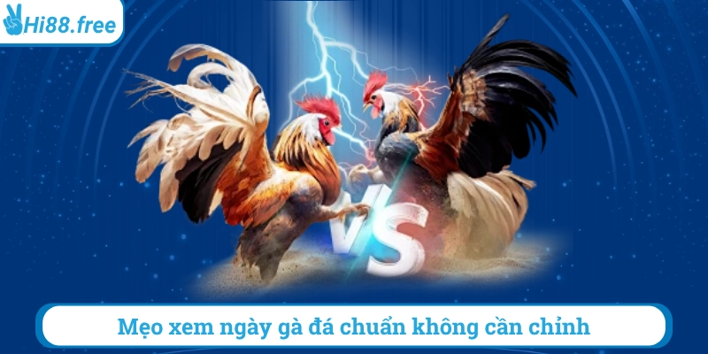 Mẹo xem ngày đá gà chuẩn chỉ không cần chỉnh