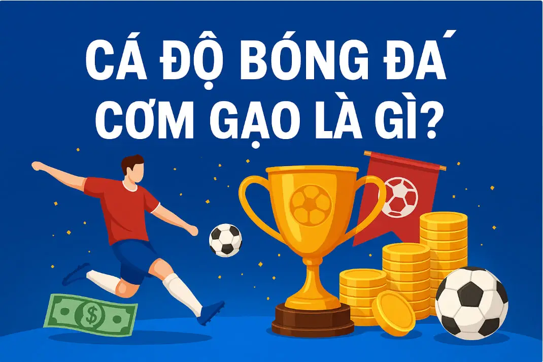 Cá độ bóng đá cơm gạo là gì