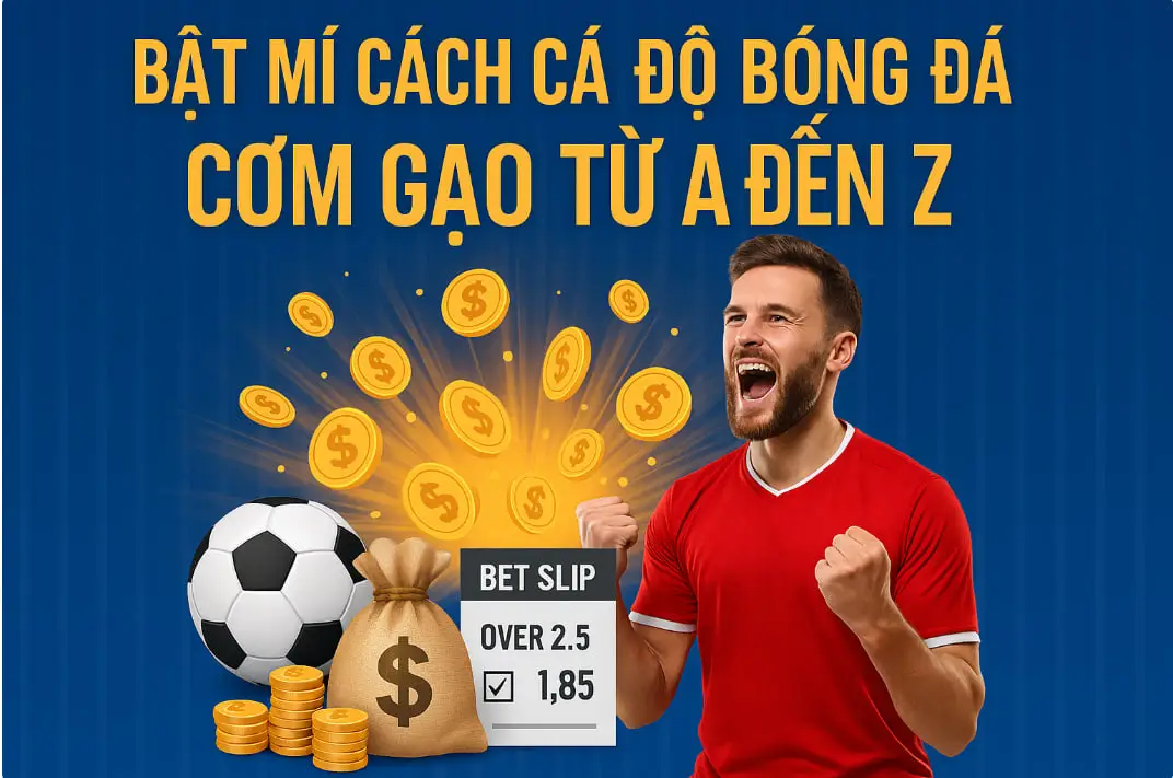 Bật mí cách cá độ bóng đá