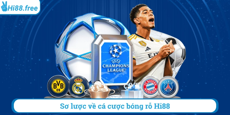 Sơ lược về các cược bóng rổ hi88