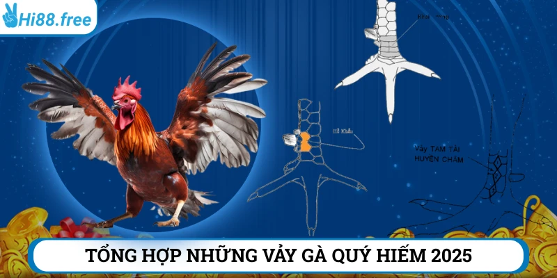 Tổng hợp những vảy gà quý hiếm 2025 nên biết