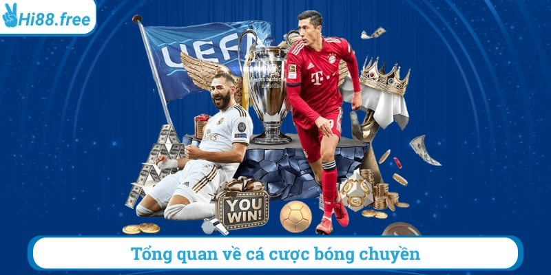 Tổng quan về cá cược bóng chuyền